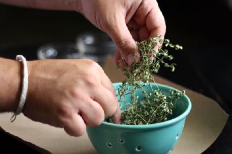 Tørrede urter (basilikum og oregano)