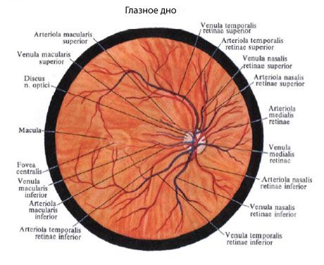 Ocular bund