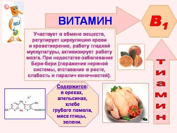 Egenskaberne af vitamin B1
