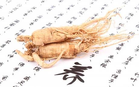 Ginseng under graviditeten