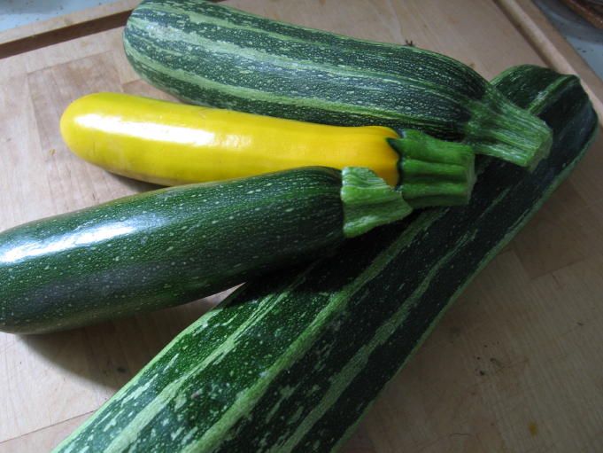 Zucchini.  20 kcal / 100 g.